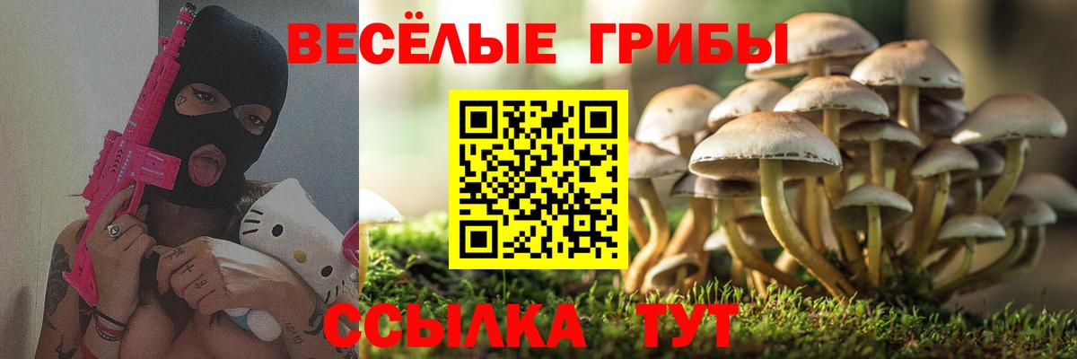Псилоцибиновые грибы Psilocybe  Вход с VPN  Галлюциногенные грибы GOLDEN TEACHER  Пушкино 